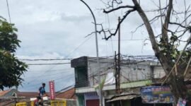 Petugas gabungan tebang pohon lapuk di Jalan Bhayangkara untuk cegah risiko tumbang dan kecelakaan. | Istimewa