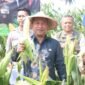 Wakil Bupati Sukabumi hadiri panen raya jagung serentak untuk dorong ketahanan pangan nasional. | Fb/Pemerintah Kabupaten Sukabumi
