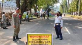 Antisipasi pohon tumbang, tiga trembesi tua di Palabuhanratu ditebang. | Istimewa