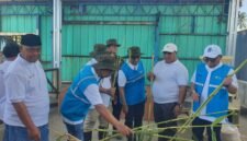 Sorgum Cipatuguran jadi energi hijau untuk PLTU Palabuhanratu.