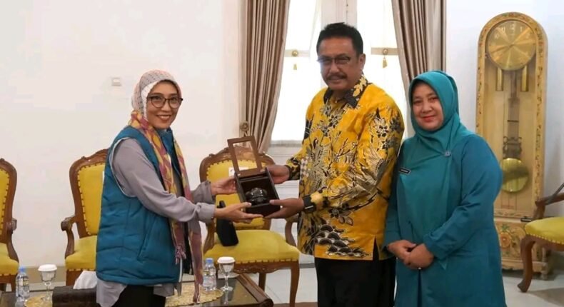 foto slider headline