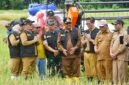 Ciemas ditegaskan jadi salah satu penopang utama swasembada pangan Sukabumi. (fb/Pemerintah Kabupaten Sukabumi)